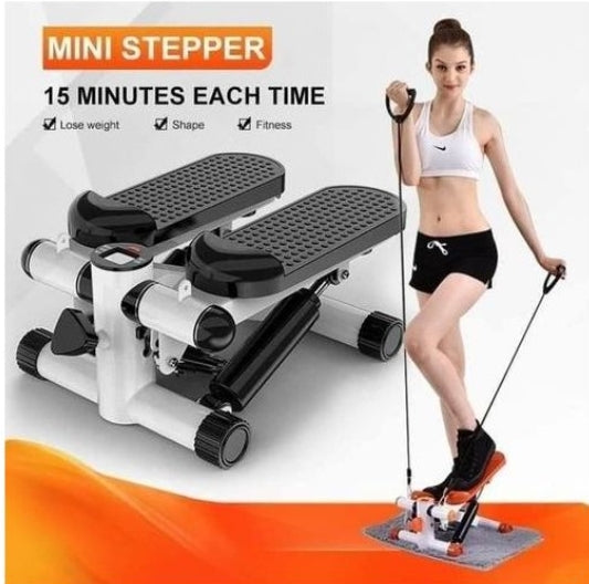 Fitness stepping machine
